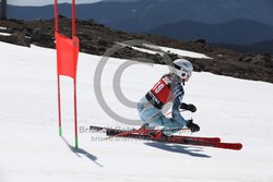 104-F-0305 <br>2024 Wy'East Cup. 1st run GS. Photo for review only, not to be reproduced. Go to: http://brianrobbphoto.com for photo ordering information.