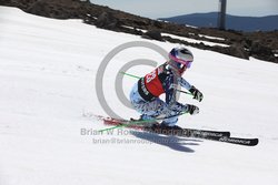 104-F-0309 <br>2024 Wy'East Cup. 1st run GS. Photo for review only, not to be reproduced. Go to: http://brianrobbphoto.com for photo ordering information.