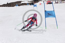 104-F-0310 <br>2024 Wy'East Cup. 1st run GS. Photo for review only, not to be reproduced. Go to: http://brianrobbphoto.com for photo ordering information.