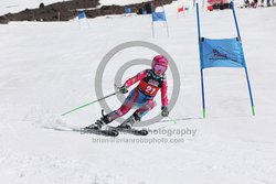 104-F-0311 <br>2024 Wy'East Cup. 1st run GS. Photo for review only, not to be reproduced. Go to: http://brianrobbphoto.com for photo ordering information.
