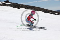 104-F-0312 <br>2024 Wy'East Cup. 1st run GS. Photo for review only, not to be reproduced. Go to: http://brianrobbphoto.com for photo ordering information.