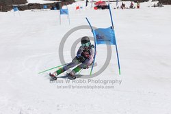 104-F-0318 <br>2024 Wy'East Cup. 1st run GS. Photo for review only, not to be reproduced. Go to: http://brianrobbphoto.com for photo ordering information.