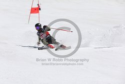 104-F-0326 <br>2024 Wy'East Cup. 1st run GS. Photo for review only, not to be reproduced. Go to: http://brianrobbphoto.com for photo ordering information.