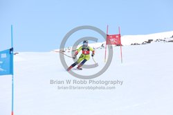 104-E-0014 <br>2025 Wy'East Cup, 1st run GS. Photos for review only. Reproduction prohibited. Click to enlarge. For photo ordering information, go to: http://brianrobbphoto.com