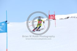 104-E-0015 <br>2025 Wy'East Cup, 1st run GS. Photos for review only. Reproduction prohibited. Click to enlarge. For photo ordering information, go to: http://brianrobbphoto.com