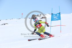 104-E-0017 <br>2025 Wy'East Cup, 1st run GS. Photos for review only. Reproduction prohibited. Click to enlarge. For photo ordering information, go to: http://brianrobbphoto.com