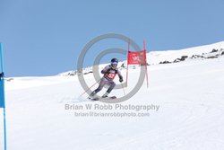 104-E-0035 <br>2025 Wy'East Cup, 1st run GS. Photos for review only. Reproduction prohibited. Click to enlarge. For photo ordering information, go to: http://brianrobbphoto.com