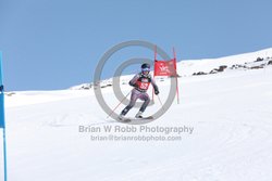 104-E-0036 <br>2025 Wy'East Cup, 1st run GS. Photos for review only. Reproduction prohibited. Click to enlarge. For photo ordering information, go to: http://brianrobbphoto.com