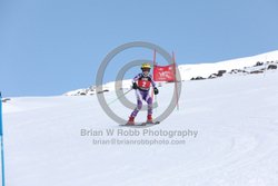 104-E-0043 <br>2025 Wy'East Cup, 1st run GS. Photos for review only. Reproduction prohibited. Click to enlarge. For photo ordering information, go to: http://brianrobbphoto.com