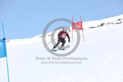 104-E-0048 <br>2025 Wy'East Cup, 1st run GS. Photos for review only. Reproduction prohibited. Click to enlarge. For photo ordering information, go to: http://brianrobbphoto.com