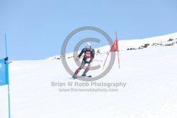 104-E-0052 <br>2025 Wy'East Cup, 1st run GS. Photos for review only. Reproduction prohibited. Click to enlarge. For photo ordering information, go to: http://brianrobbphoto.com