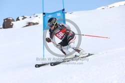 104-E-0068 <br>2025 Wy'East Cup, 1st run GS. Photos for review only. Reproduction prohibited. Click to enlarge. For photo ordering information, go to: http://brianrobbphoto.com