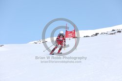 104-E-0074 <br>2025 Wy'East Cup, 1st run GS. Photos for review only. Reproduction prohibited. Click to enlarge. For photo ordering information, go to: http://brianrobbphoto.com