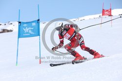 104-E-0075 <br>2025 Wy'East Cup, 1st run GS. Photos for review only. Reproduction prohibited. Click to enlarge. For photo ordering information, go to: http://brianrobbphoto.com