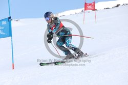 104-E-0079 <br>2025 Wy'East Cup, 1st run GS. Photos for review only. Reproduction prohibited. Click to enlarge. For photo ordering information, go to: http://brianrobbphoto.com