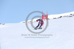 104-E-0084 <br>2025 Wy'East Cup, 1st run GS. Photos for review only. Reproduction prohibited. Click to enlarge. For photo ordering information, go to: http://brianrobbphoto.com