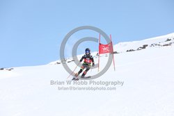 104-E-0129 <br>2025 Wy'East Cup, 1st run GS. Photos for review only. Reproduction prohibited. Click to enlarge. For photo ordering information, go to: http://brianrobbphoto.com