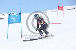 104-E-0136 <br>2025 Wy'East Cup, 1st run GS. Photos for review only. Reproduction prohibited. Click to enlarge. For photo ordering information, go to: http://brianrobbphoto.com