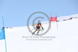 104-E-0143 <br>2025 Wy'East Cup, 1st run GS. Photos for review only. Reproduction prohibited. Click to enlarge. For photo ordering information, go to: http://brianrobbphoto.com