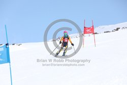 104-E-0144 <br>2025 Wy'East Cup, 1st run GS. Photos for review only. Reproduction prohibited. Click to enlarge. For photo ordering information, go to: http://brianrobbphoto.com