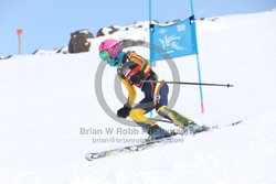 104-E-0146 <br>2025 Wy'East Cup, 1st run GS. Photos for review only. Reproduction prohibited. Click to enlarge. For photo ordering information, go to: http://brianrobbphoto.com