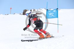 104-E-0158 <br>2025 Wy'East Cup, 1st run GS. Photos for review only. Reproduction prohibited. Click to enlarge. For photo ordering information, go to: http://brianrobbphoto.com