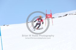 104-E-0159 <br>2025 Wy'East Cup, 1st run GS. Photos for review only. Reproduction prohibited. Click to enlarge. For photo ordering information, go to: http://brianrobbphoto.com