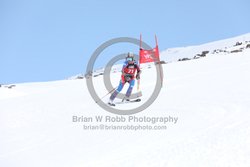 104-E-0168 <br>2025 Wy'East Cup, 1st run GS. Photos for review only. Reproduction prohibited. Click to enlarge. For photo ordering information, go to: http://brianrobbphoto.com