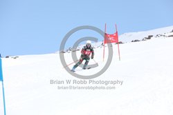 104-E-0172 <br>2025 Wy'East Cup, 1st run GS. Photos for review only. Reproduction prohibited. Click to enlarge. For photo ordering information, go to: http://brianrobbphoto.com