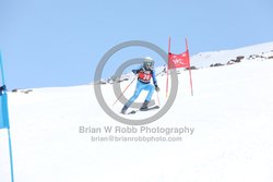 104-E-0176 <br>2025 Wy'East Cup, 1st run GS. Photos for review only. Reproduction prohibited. Click to enlarge. For photo ordering information, go to: http://brianrobbphoto.com