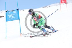 104-E-0181 <br>2025 Wy'East Cup, 1st run GS. Photos for review only. Reproduction prohibited. Click to enlarge. For photo ordering information, go to: http://brianrobbphoto.com