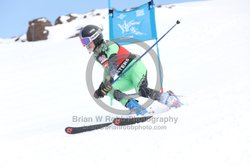 104-E-0182 <br>2025 Wy'East Cup, 1st run GS. Photos for review only. Reproduction prohibited. Click to enlarge. For photo ordering information, go to: http://brianrobbphoto.com