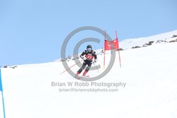 104-E-0183 <br>2025 Wy'East Cup, 1st run GS. Photos for review only. Reproduction prohibited. Click to enlarge. For photo ordering information, go to: http://brianrobbphoto.com