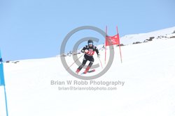 104-E-0184 <br>2025 Wy'East Cup, 1st run GS. Photos for review only. Reproduction prohibited. Click to enlarge. For photo ordering information, go to: http://brianrobbphoto.com