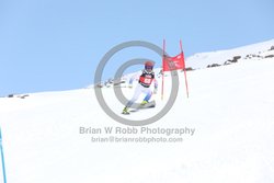 104-E-0187 <br>2025 Wy'East Cup, 1st run GS. Photos for review only. Reproduction prohibited. Click to enlarge. For photo ordering information, go to: http://brianrobbphoto.com