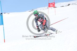 104-E-0197 <br>2025 Wy'East Cup, 1st run GS. Photos for review only. Reproduction prohibited. Click to enlarge. For photo ordering information, go to: http://brianrobbphoto.com