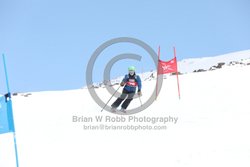 104-E-0207 <br>2025 Wy'East Cup, 1st run GS. Photos for review only. Reproduction prohibited. Click to enlarge. For photo ordering information, go to: http://brianrobbphoto.com