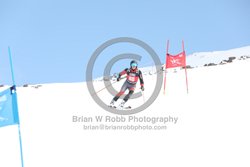 104-E-0211 <br>2025 Wy'East Cup, 1st run GS. Photos for review only. Reproduction prohibited. Click to enlarge. For photo ordering information, go to: http://brianrobbphoto.com