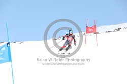 104-E-0212 <br>2025 Wy'East Cup, 1st run GS. Photos for review only. Reproduction prohibited. Click to enlarge. For photo ordering information, go to: http://brianrobbphoto.com