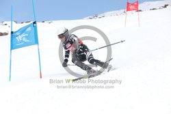 104-E-0217 <br>2025 Wy'East Cup, 1st run GS. Photos for review only. Reproduction prohibited. Click to enlarge. For photo ordering information, go to: http://brianrobbphoto.com