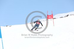 104-E-0243 <br>2025 Wy'East Cup, 1st run GS. Photos for review only. Reproduction prohibited. Click to enlarge. For photo ordering information, go to: http://brianrobbphoto.com