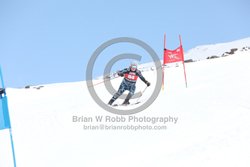 104-E-0244 <br>2025 Wy'East Cup, 1st run GS. Photos for review only. Reproduction prohibited. Click to enlarge. For photo ordering information, go to: http://brianrobbphoto.com