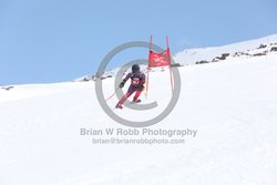 104-E-0252 <br>2025 Wy'East Cup, 1st run GS. Photos for review only. Reproduction prohibited. Click to enlarge. For photo ordering information, go to: http://brianrobbphoto.com