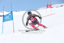 104-E-0254 <br>2025 Wy'East Cup, 1st run GS. Photos for review only. Reproduction prohibited. Click to enlarge. For photo ordering information, go to: http://brianrobbphoto.com