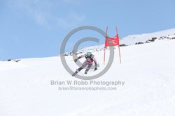 104-E-0260 <br>2025 Wy'East Cup, 1st run GS. Photos for review only. Reproduction prohibited. Click to enlarge. For photo ordering information, go to: http://brianrobbphoto.com