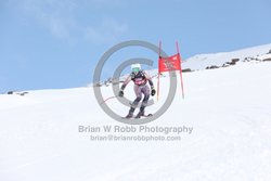 104-E-0262 <br>2025 Wy'East Cup, 1st run GS. Photos for review only. Reproduction prohibited. Click to enlarge. For photo ordering information, go to: http://brianrobbphoto.com