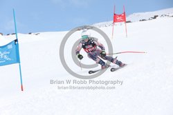 104-E-0263 <br>2025 Wy'East Cup, 1st run GS. Photos for review only. Reproduction prohibited. Click to enlarge. For photo ordering information, go to: http://brianrobbphoto.com