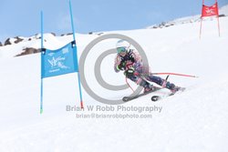 104-E-0264 <br>2025 Wy'East Cup, 1st run GS. Photos for review only. Reproduction prohibited. Click to enlarge. For photo ordering information, go to: http://brianrobbphoto.com