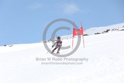 104-E-0269 <br>2025 Wy'East Cup, 1st run GS. Photos for review only. Reproduction prohibited. Click to enlarge. For photo ordering information, go to: http://brianrobbphoto.com