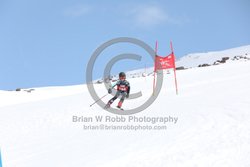 104-E-0270 <br>2025 Wy'East Cup, 1st run GS. Photos for review only. Reproduction prohibited. Click to enlarge. For photo ordering information, go to: http://brianrobbphoto.com